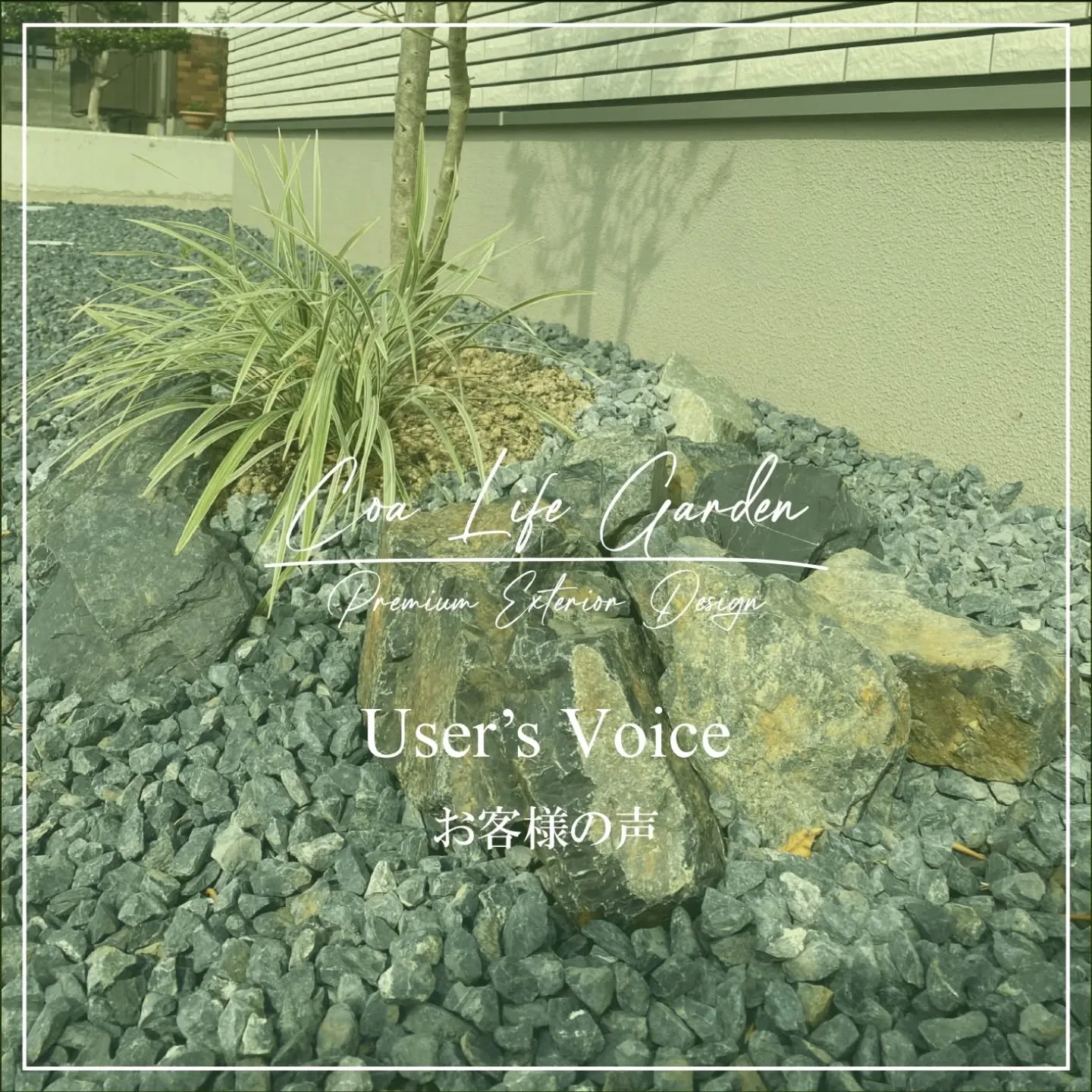 お庭に生える草が多く、手間がかかることに