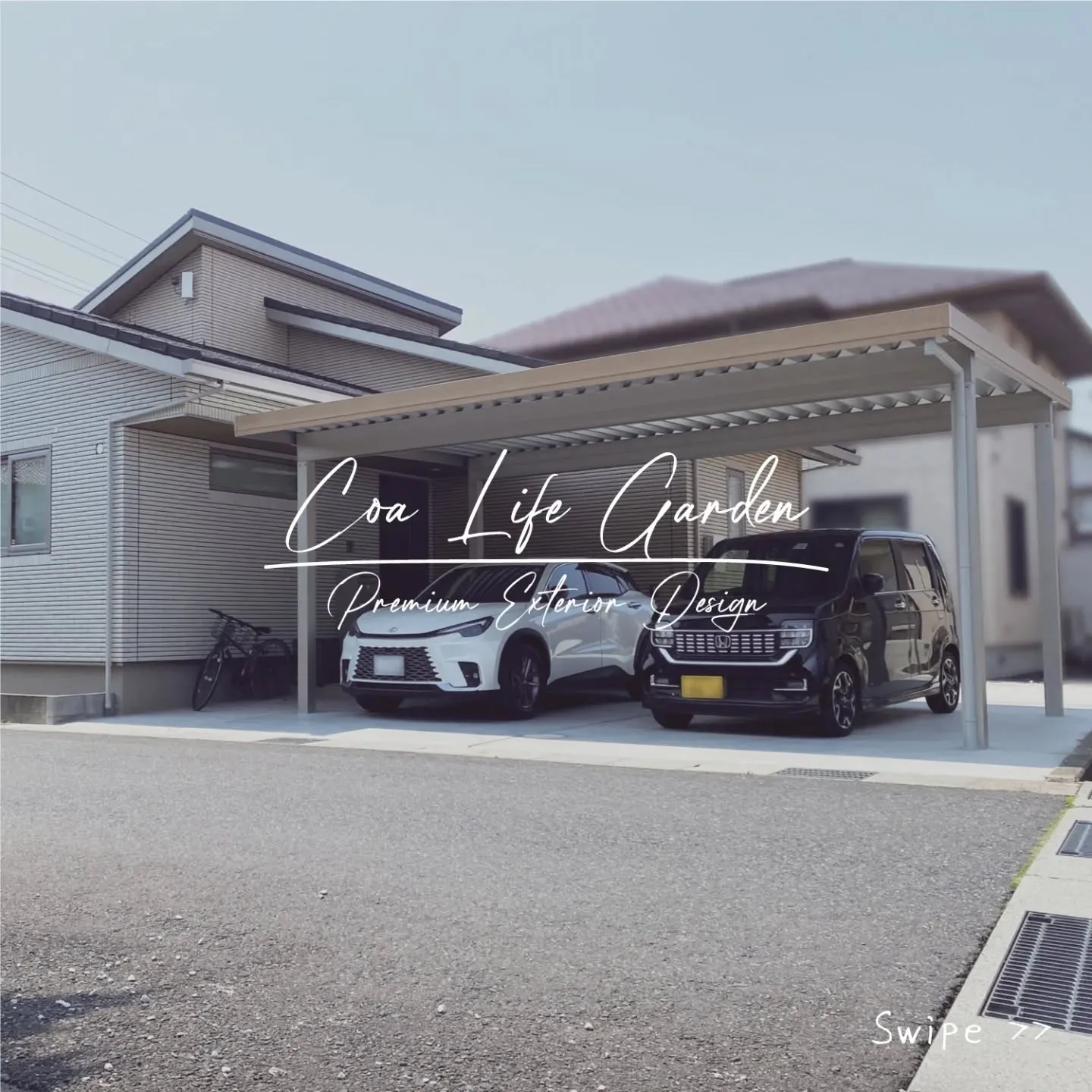 玄関の前に植えてあった柿の木🌳