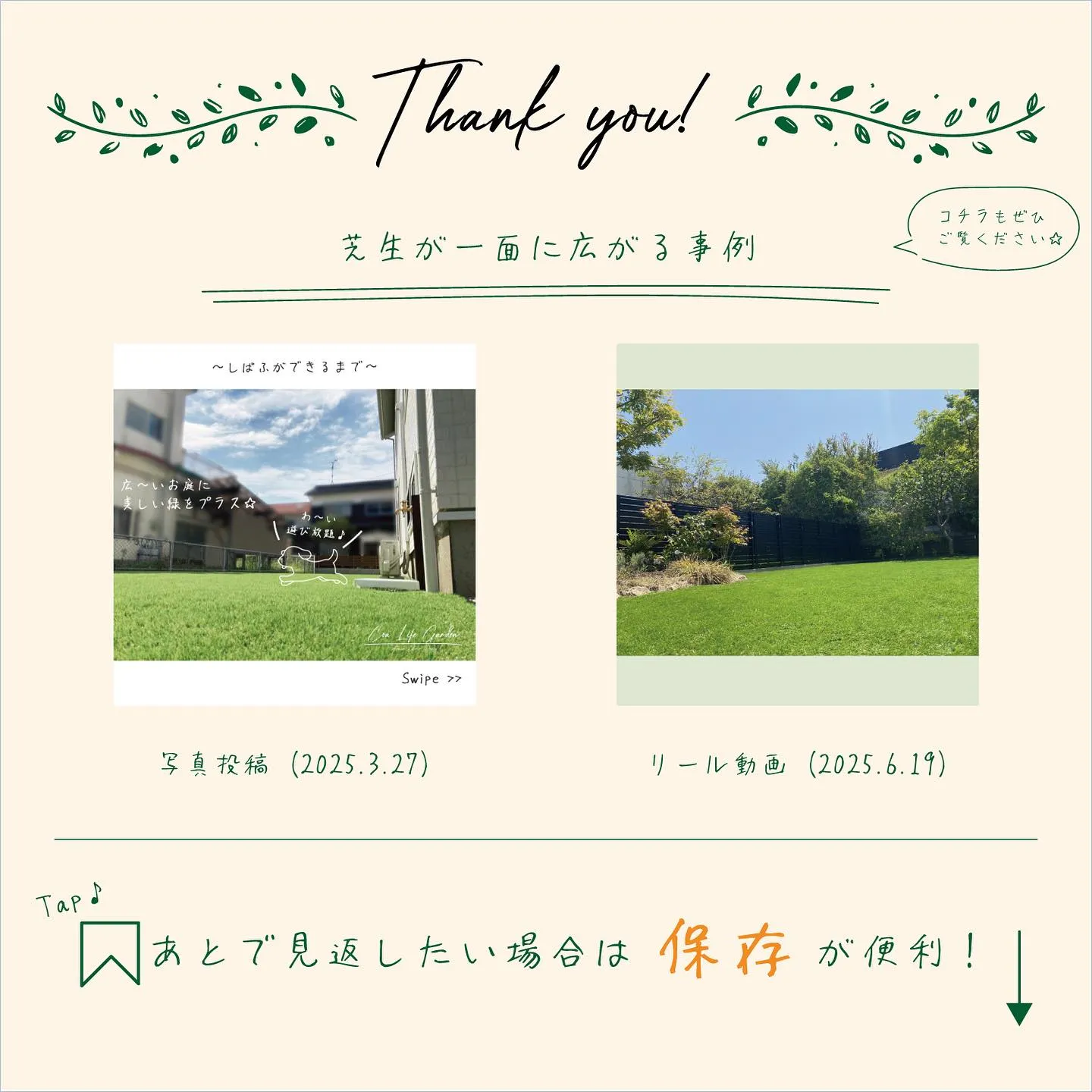 裏庭には青々とした芝生が広がり、