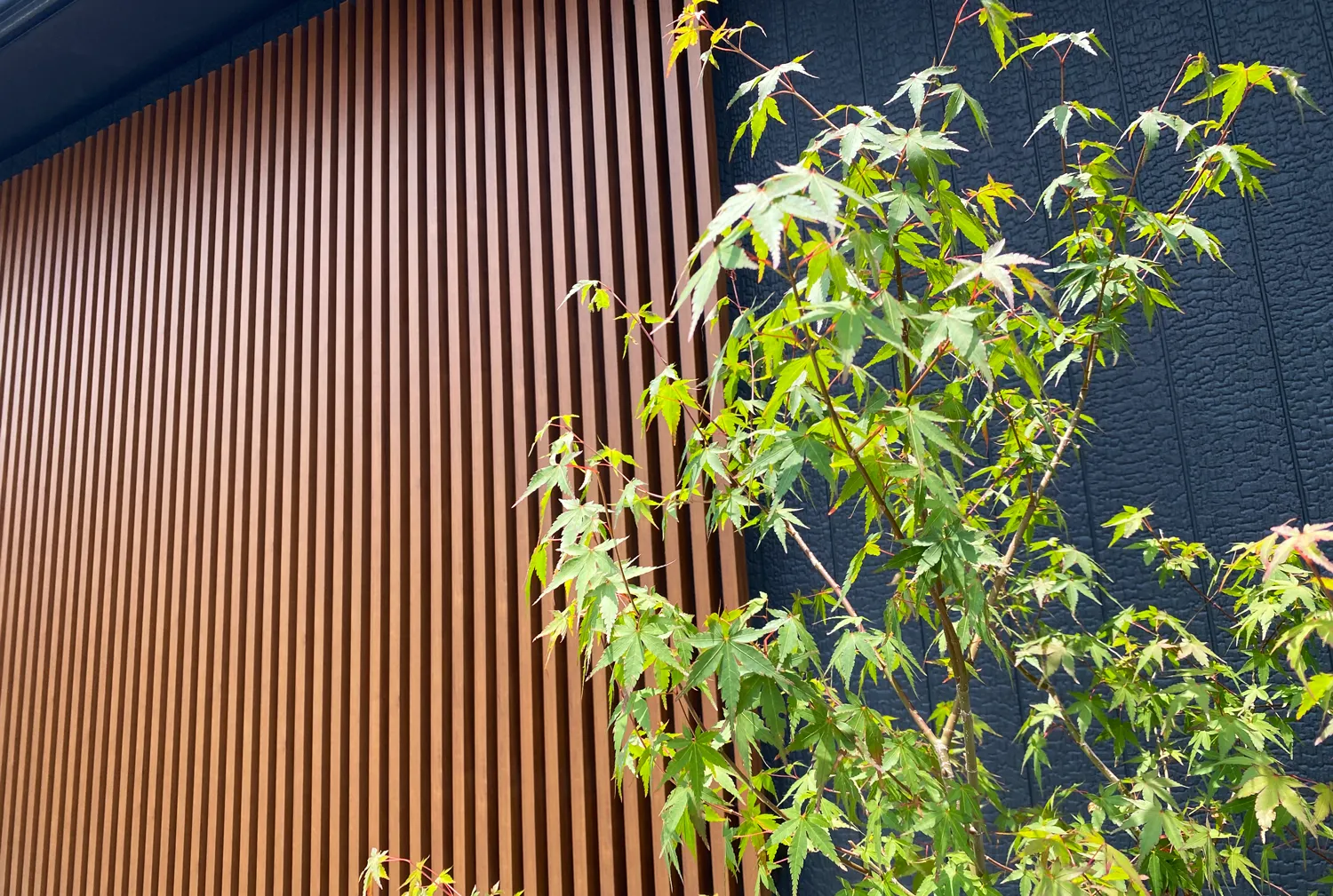 エクステリアで映えるシンボルツリーの育て方と季節ごとの手入れポイント