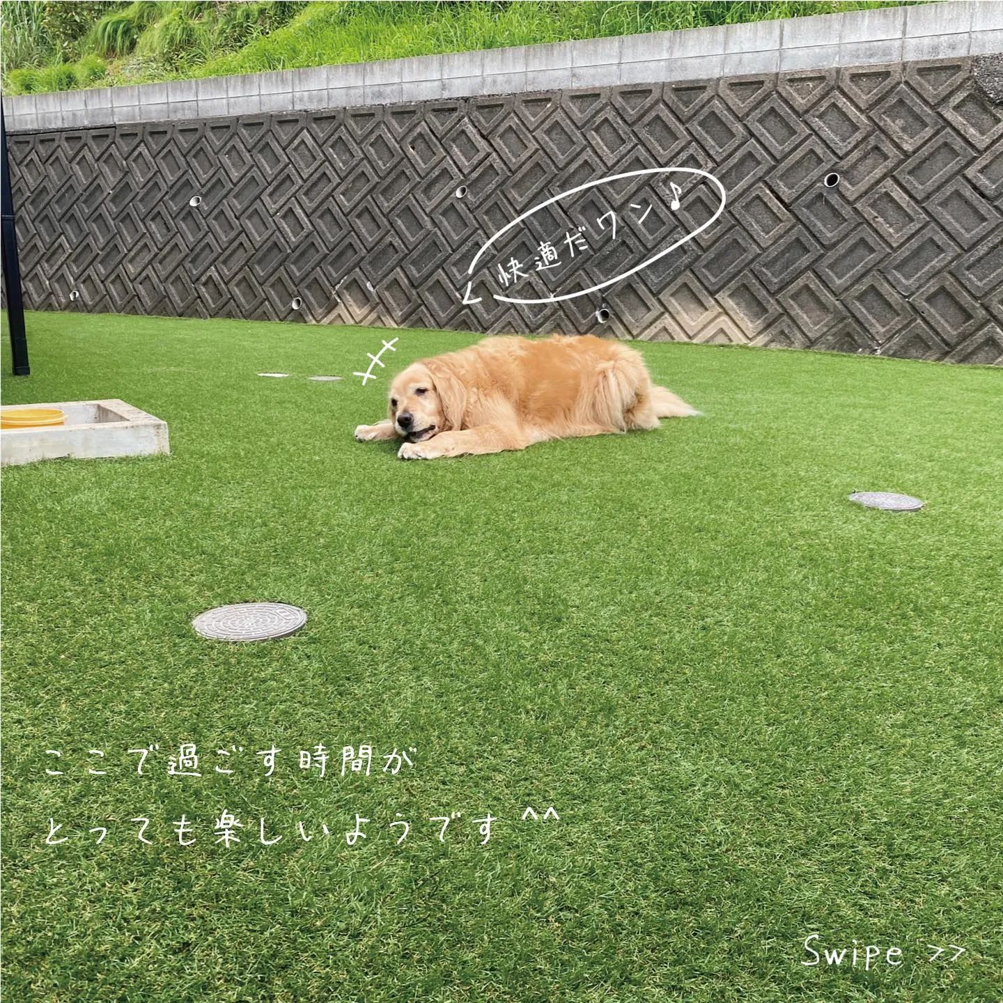 これまで裏庭はネットで囲っておられましたが、