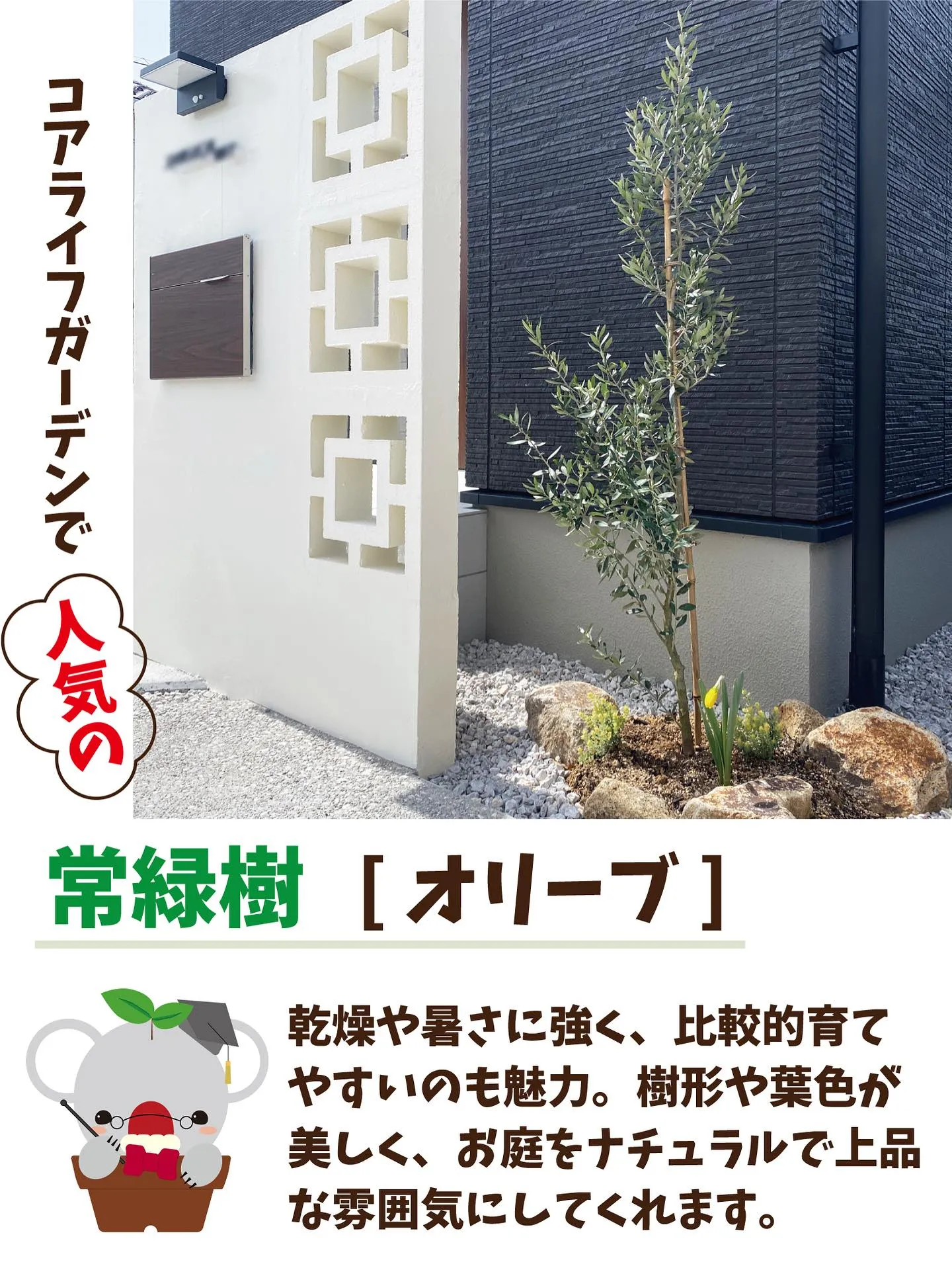 🐨コアラ先生が教える