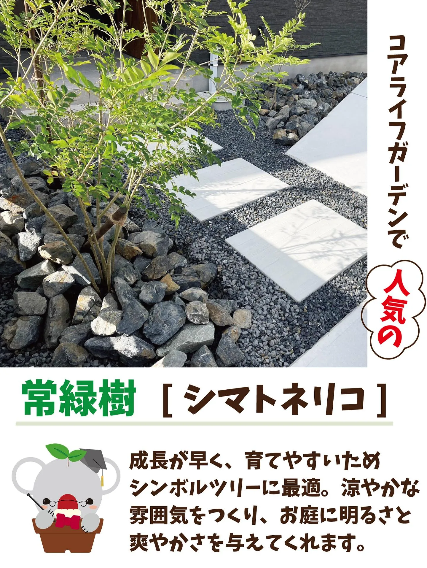 🐨コアラ先生が教える