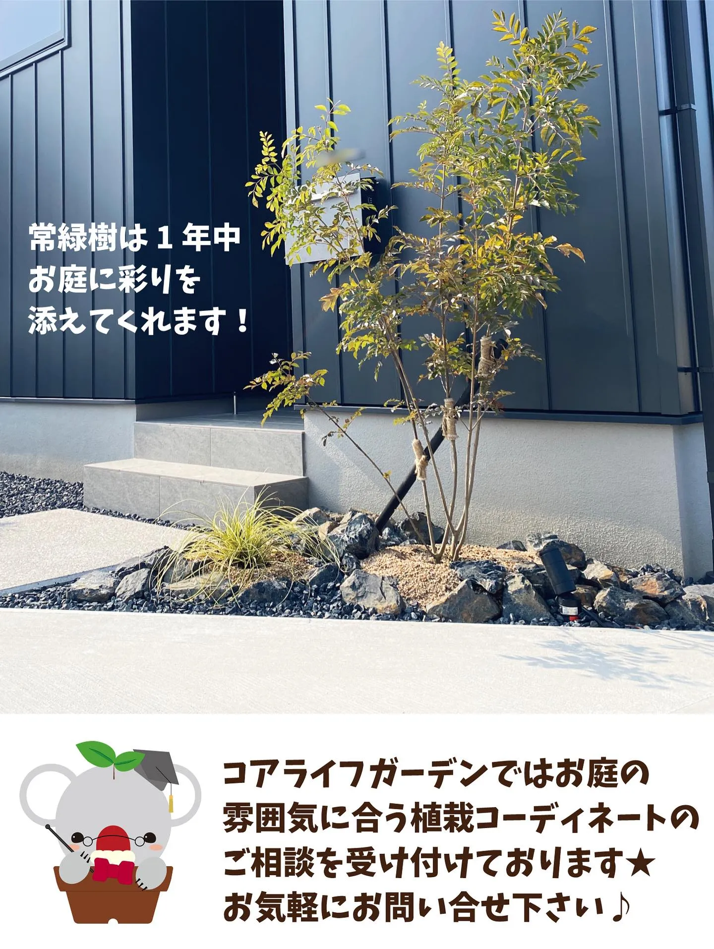 🐨コアラ先生が教える