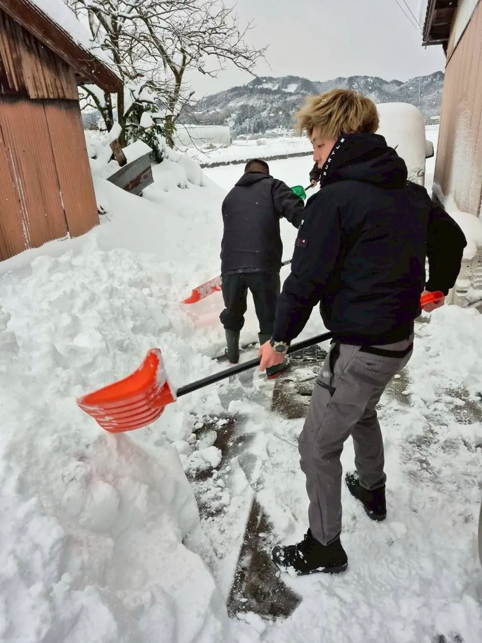 雪かき、リターンズ