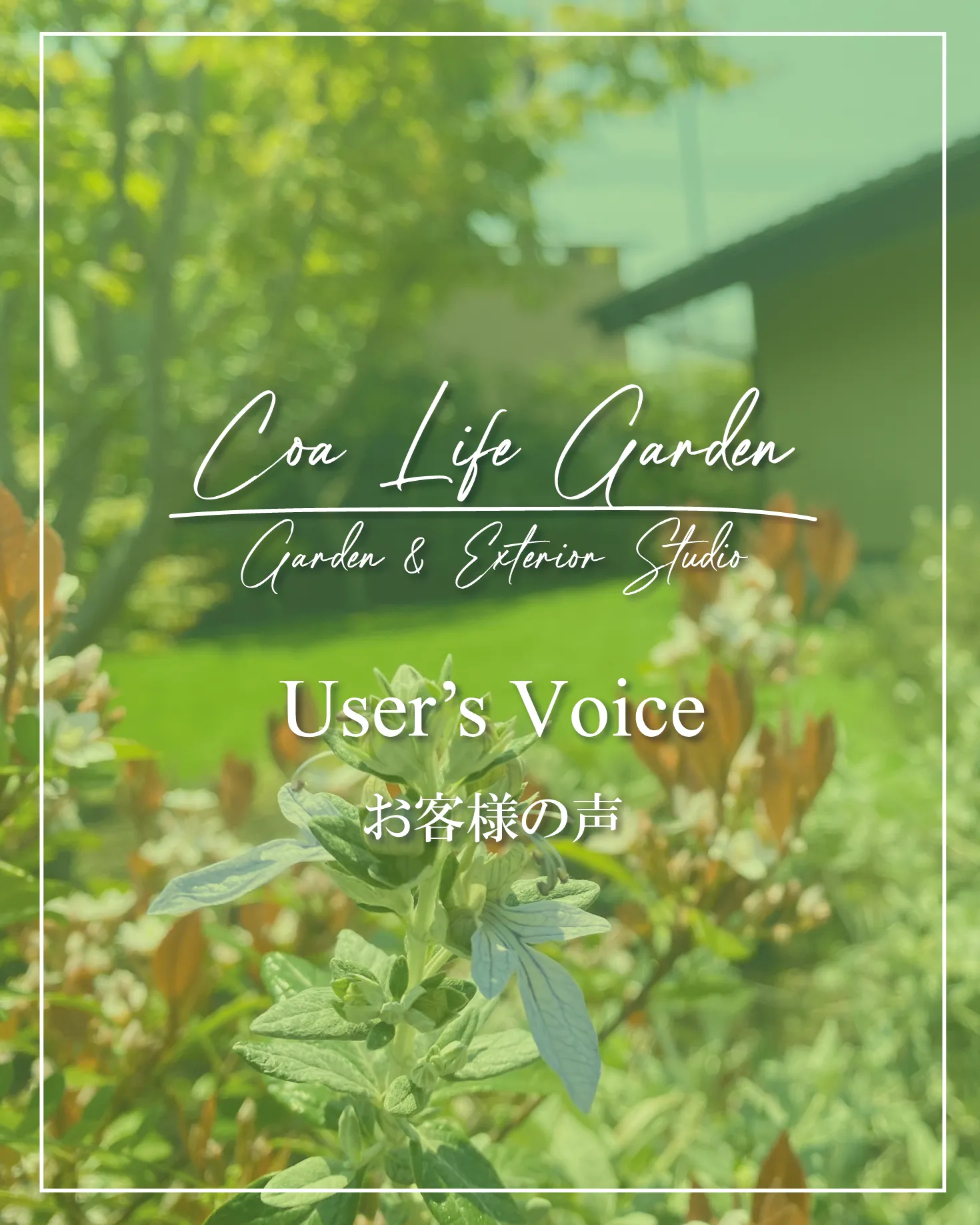 【インスタグラム Post】お客様の声