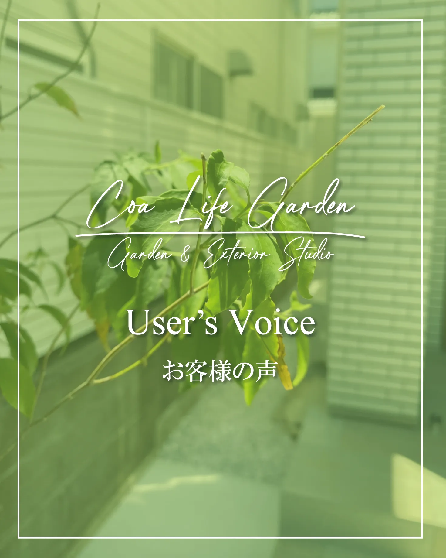 【インスタグラム Post】お客様の声