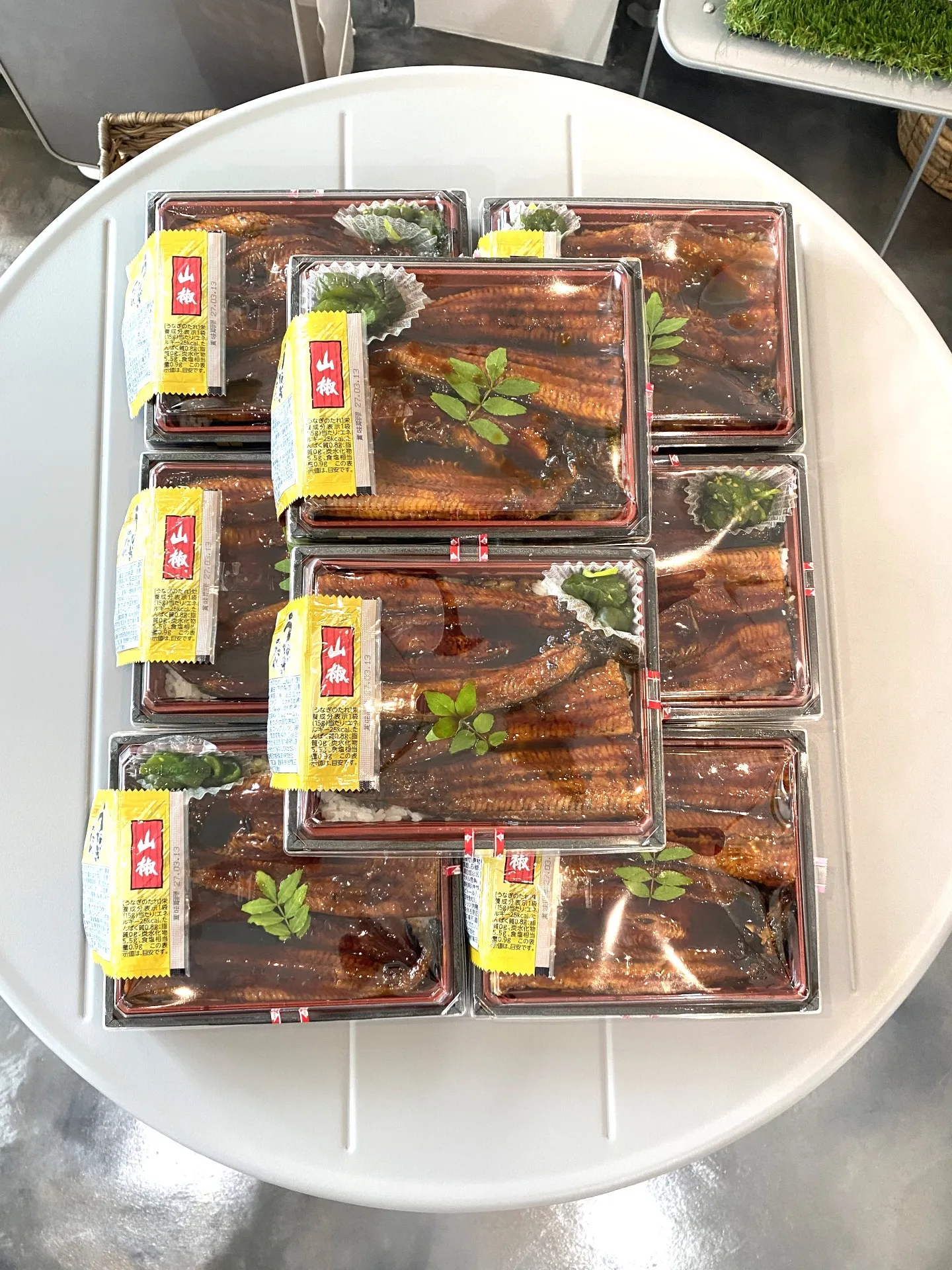 夏鰻